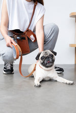 Görseli Galeri görüntüleyiciye yükleyin, Pups &amp; Itchy
